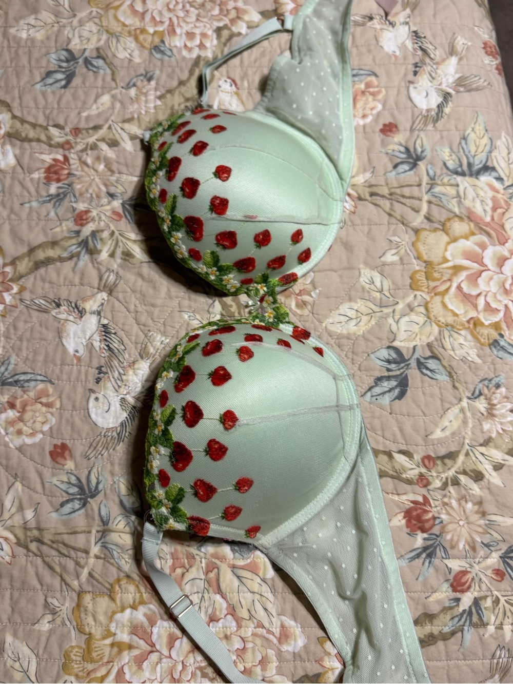 Victoria's Secret Mint Green Bra with Red Strawberry Embroidery